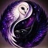 hibou_and_hrafn